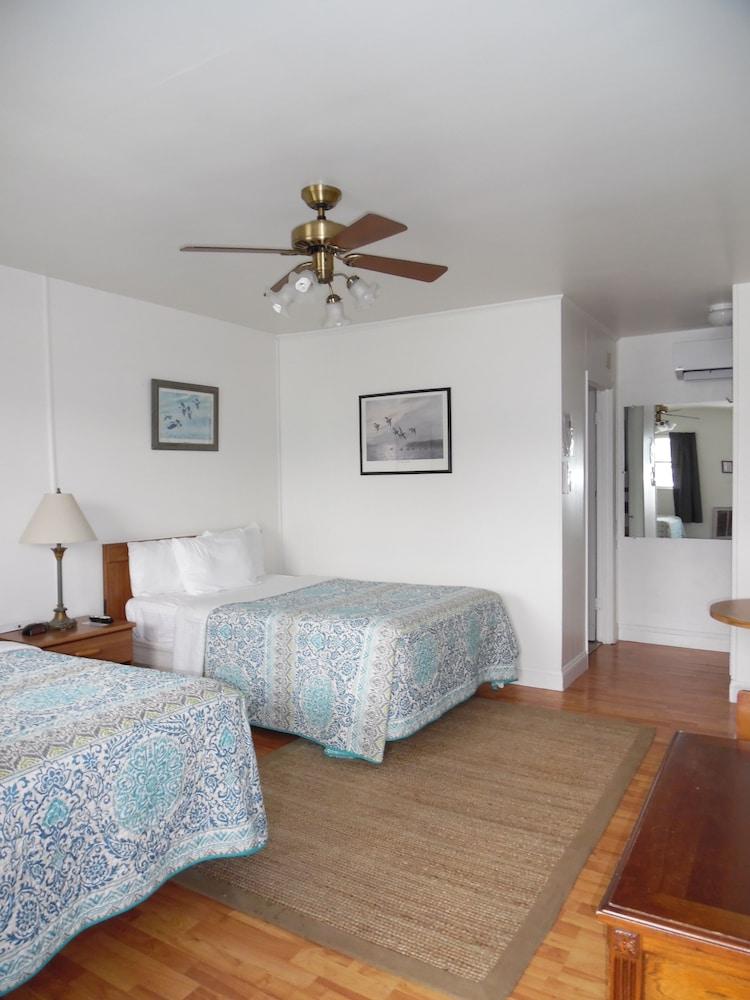 Wachapreague Inn photo 60