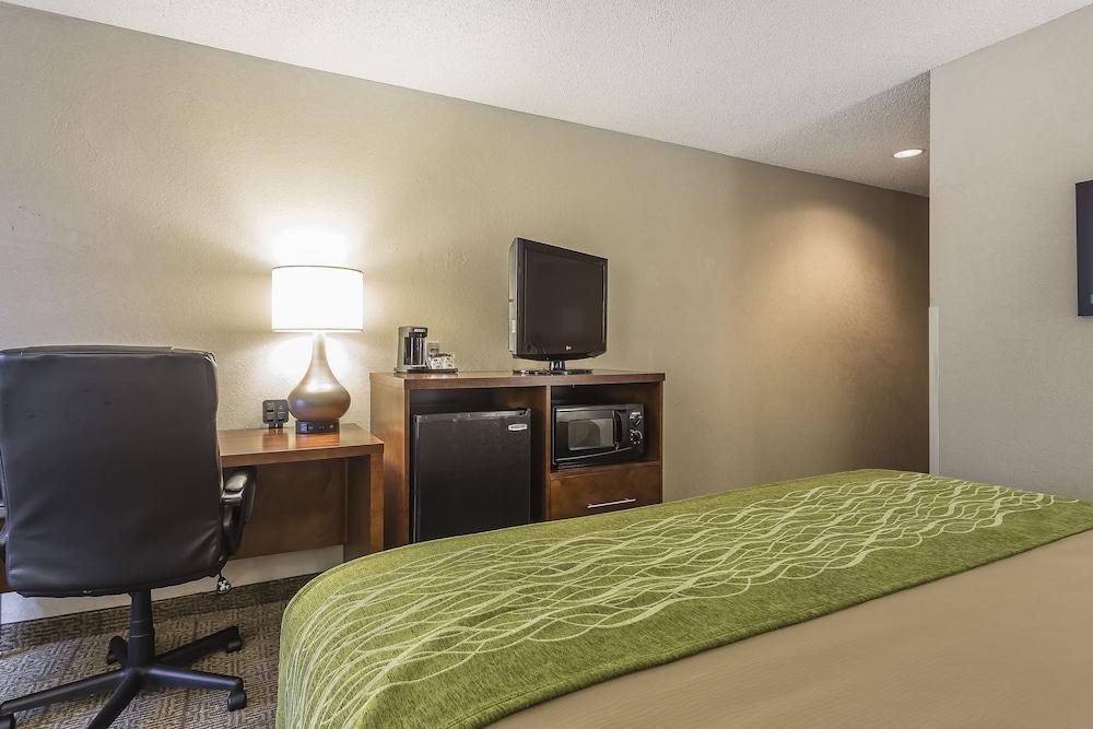Quality Inn Summerville - Charleston photo 8