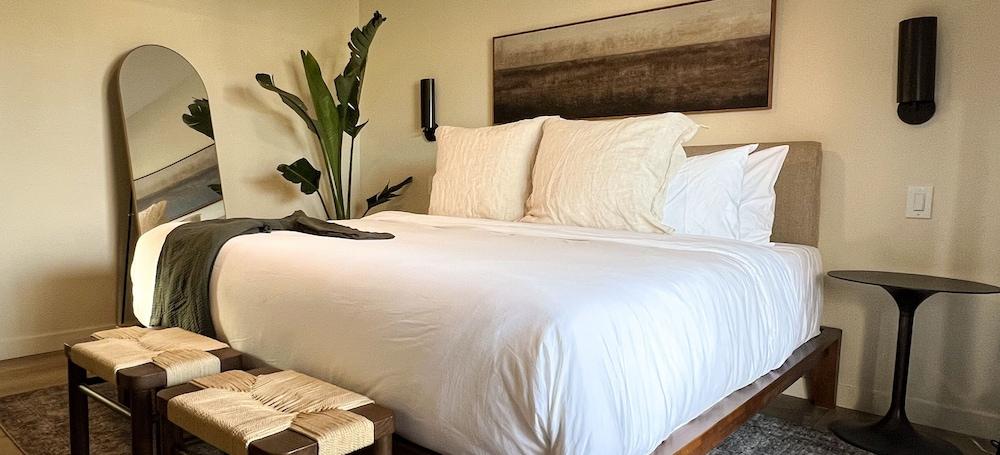 Terra Palm Springs photo 5