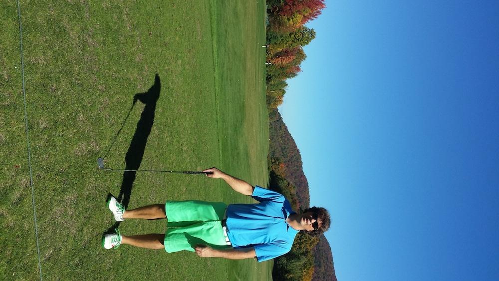 Greenbrier Inn photo 52