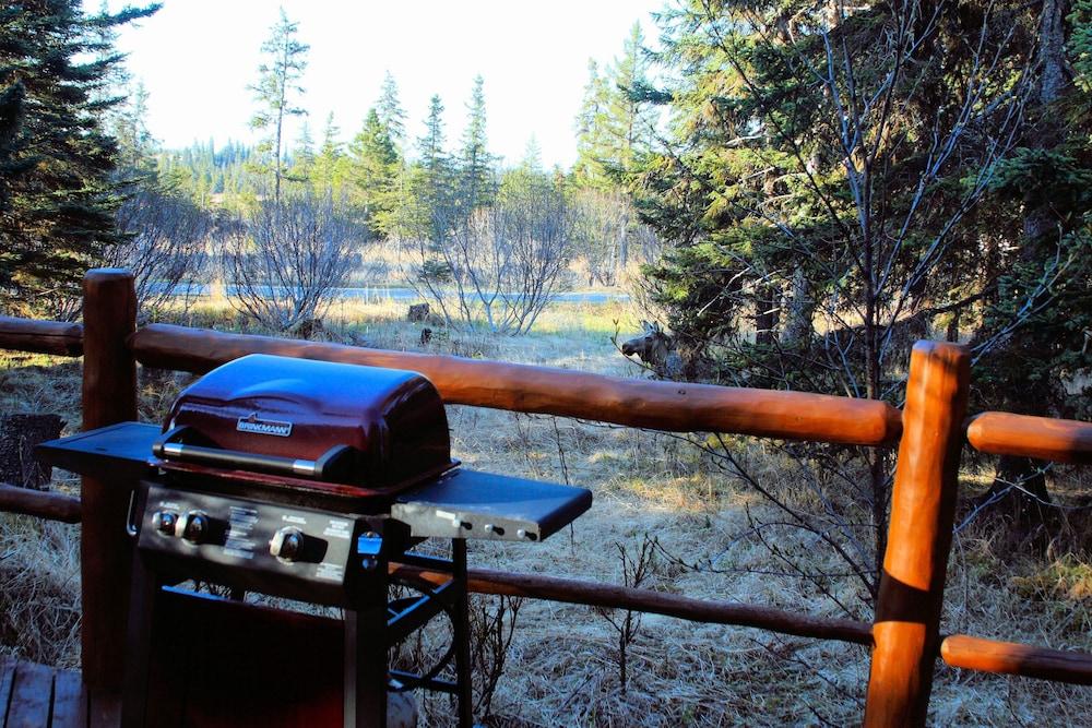 Bear Paw Adventure photo 80