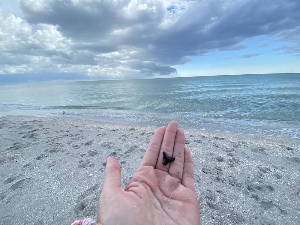 Manasota Key Resort photo 87
