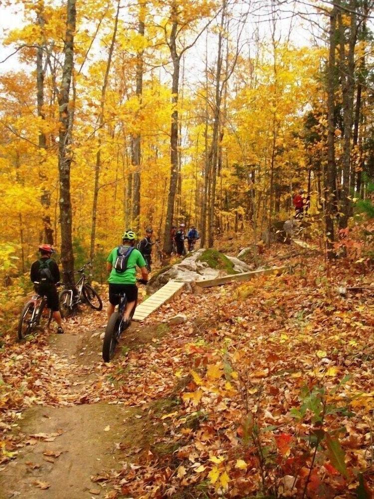 Lakewoods Resort & Lodge photo 33