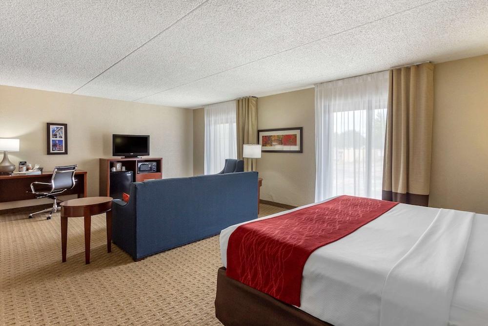 Comfort Inn & Suites Rochelle - DeKalb photo 49