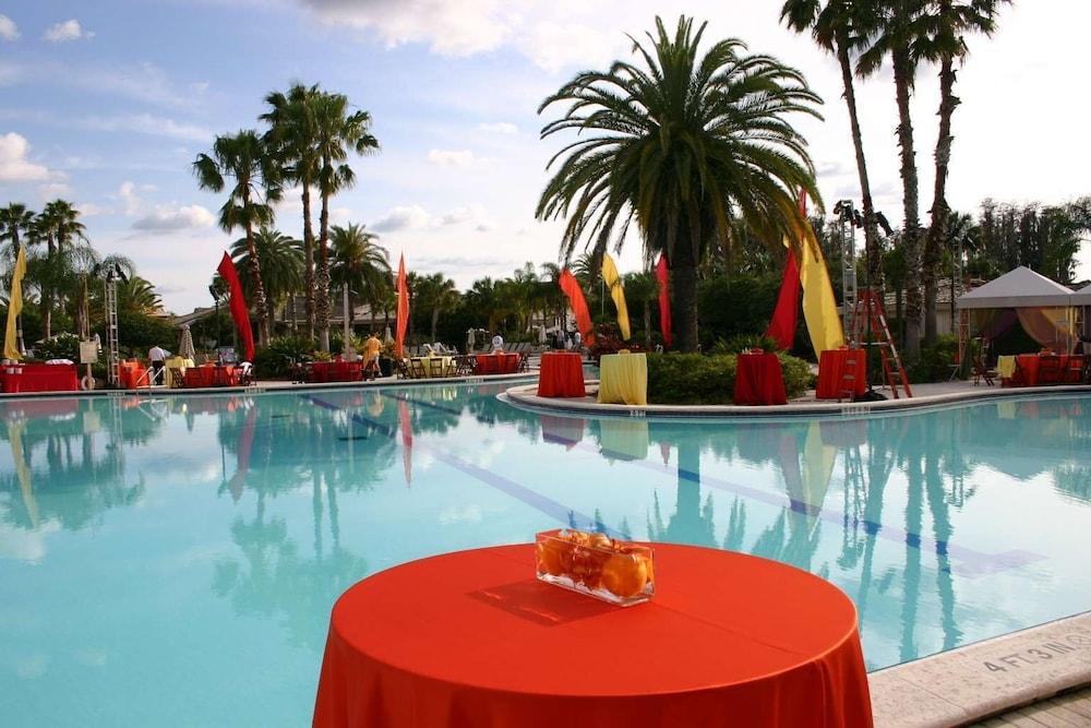 Saddlebrook Resort photo 99