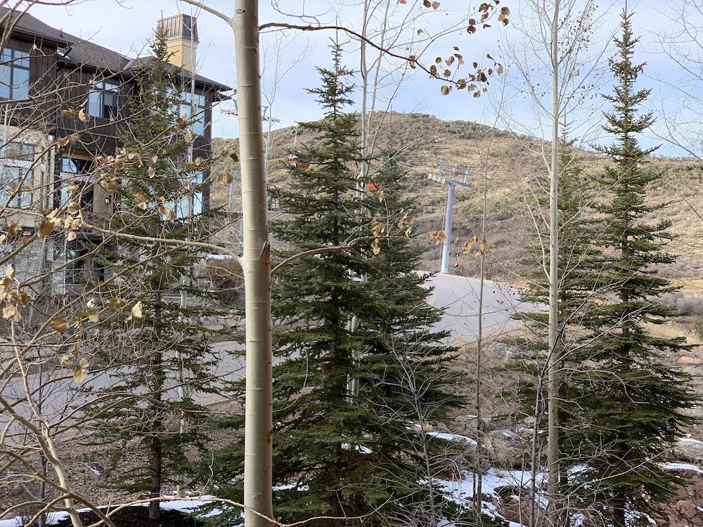 Sundial Lodge photo 3