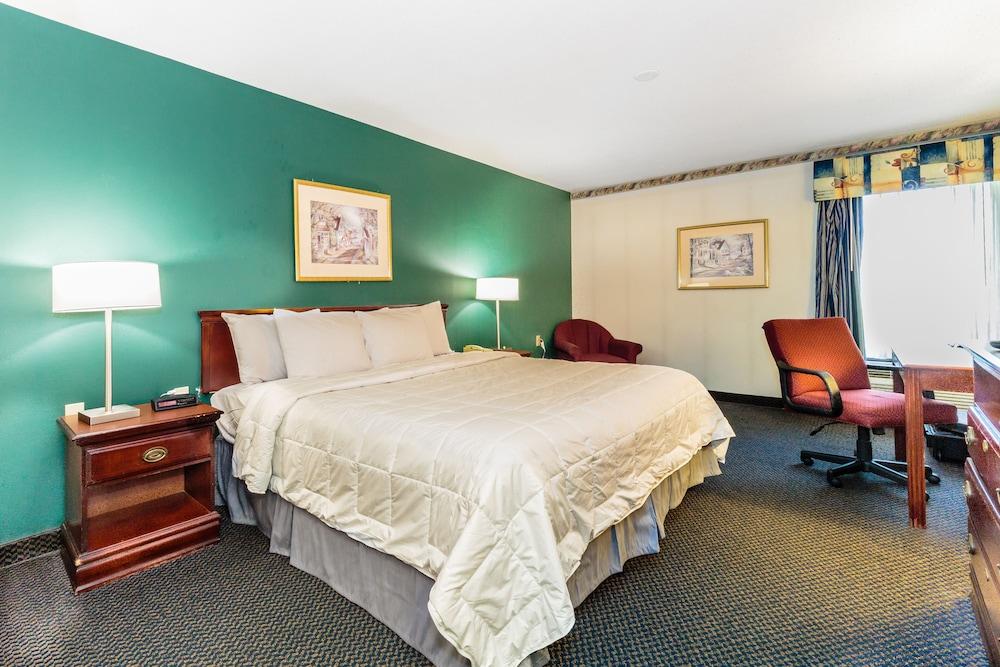 The View Inn & Suites photo 16