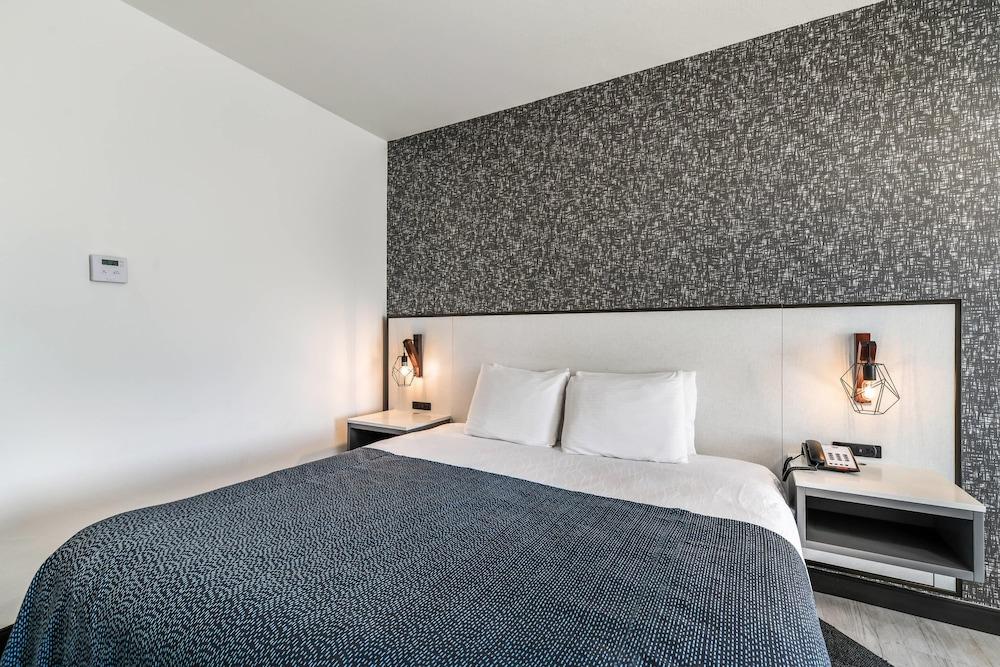 Hy-Lo Hotel, an Ascend Collection Hotel photo 29