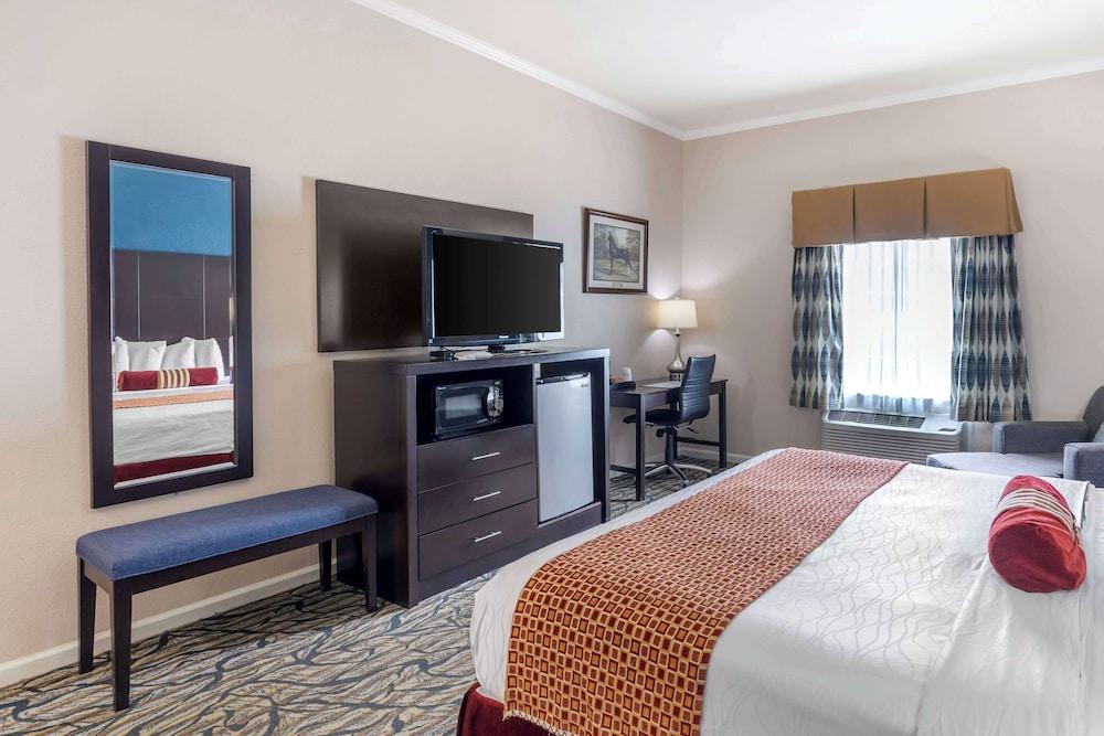 Best Western Spring Hill Inn & Suites photo 28