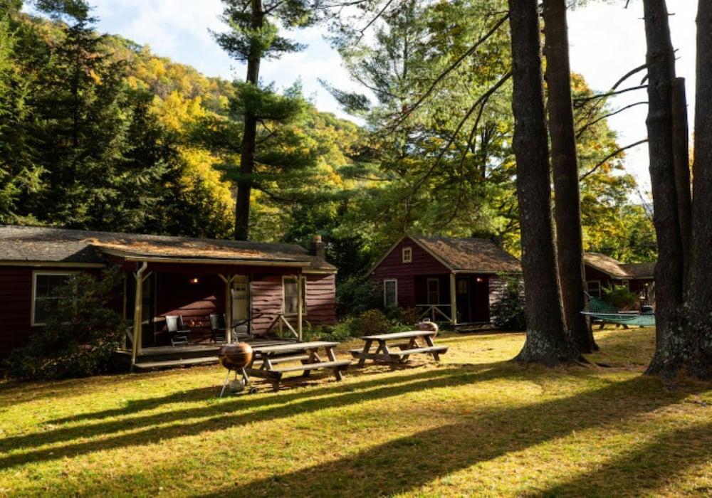 Phoenicia Lodge photo 34