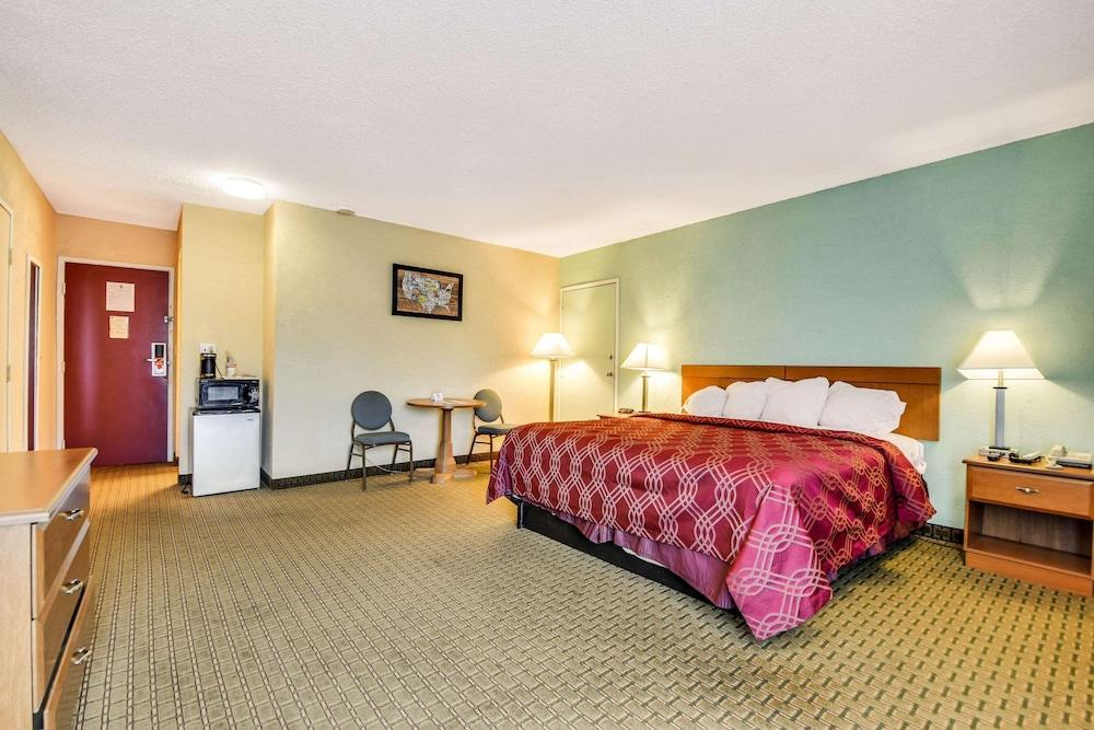 Econo Lodge Tampa near Busch Gardens photo 46