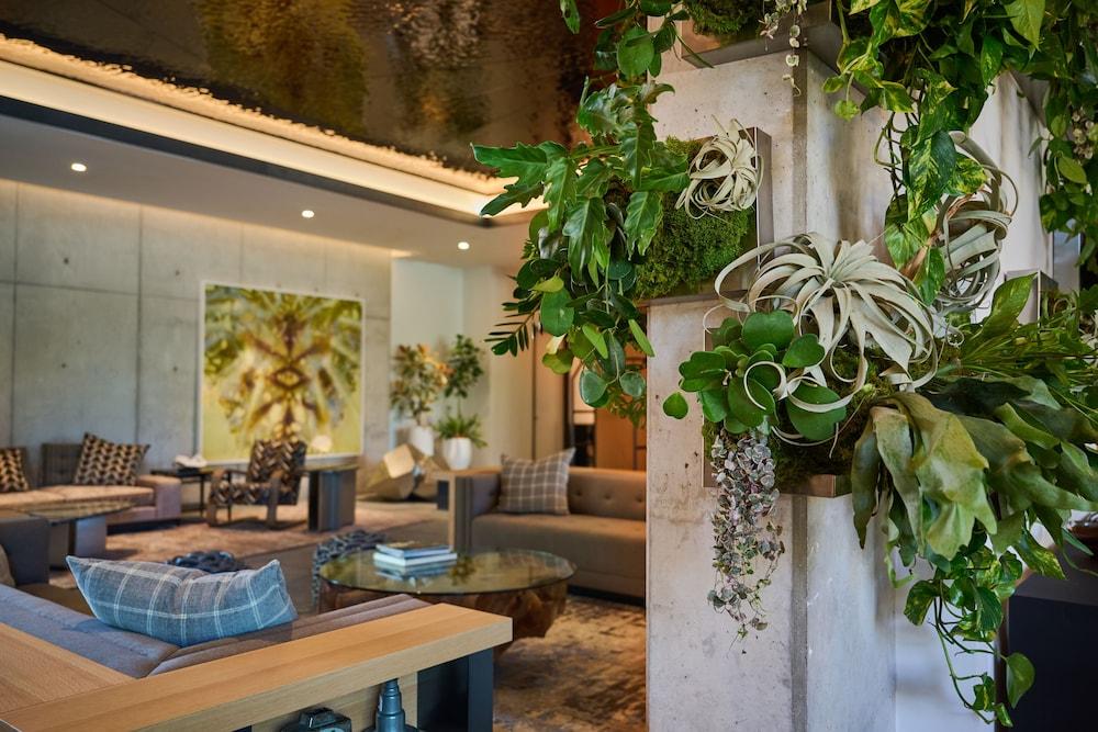 The Loren Hotel Austin photo 17