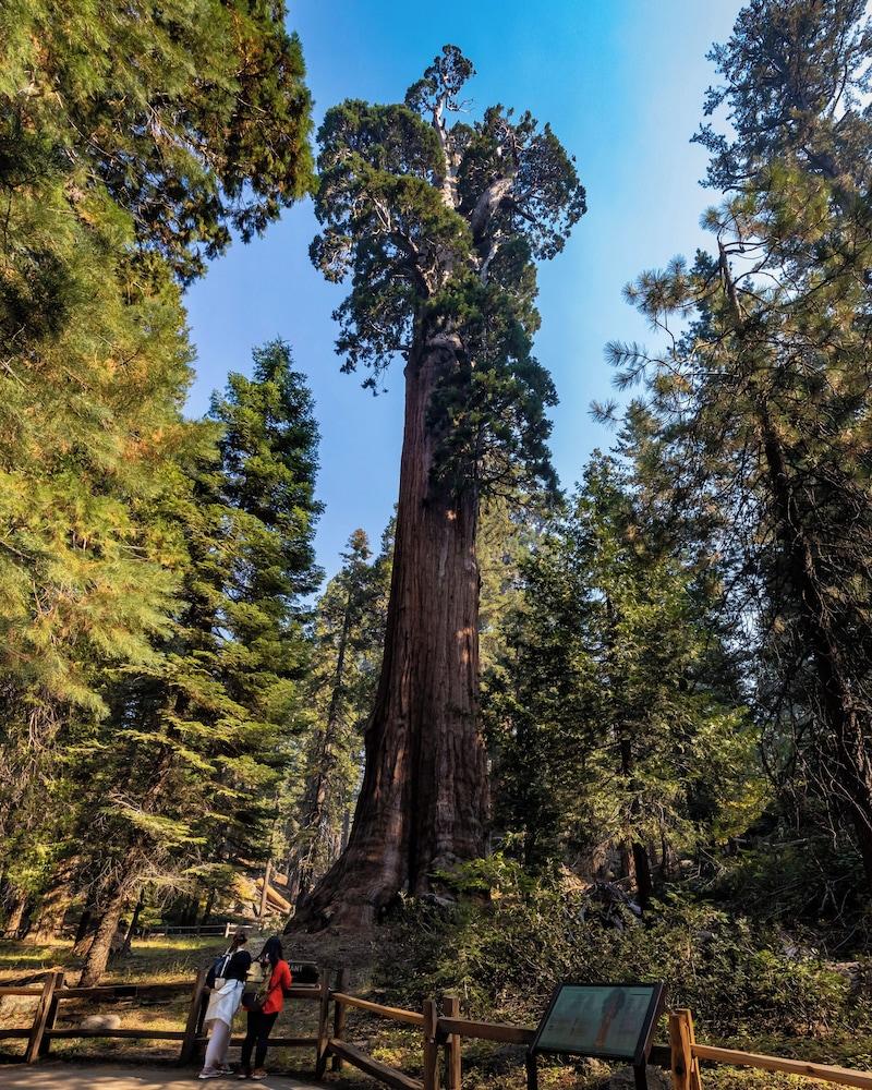 John Muir Lodge photo 31