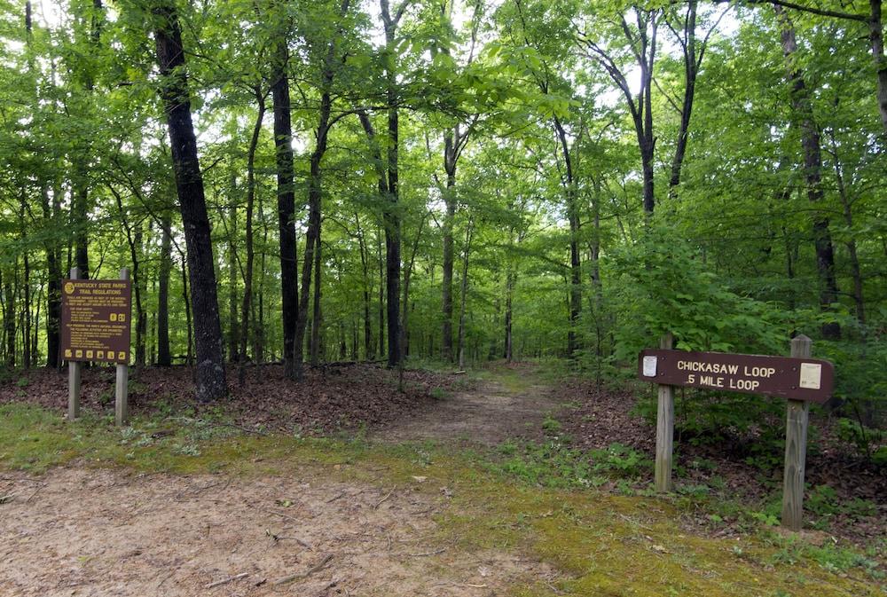 Kenlake State Resort Park photo 70
