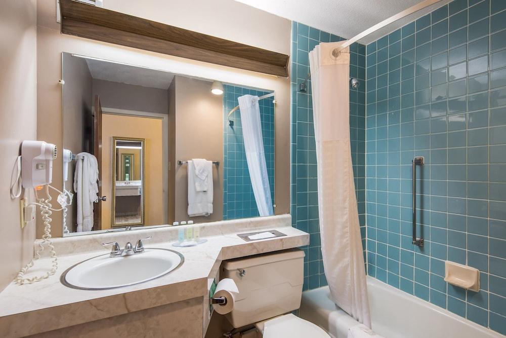 Cayuga Blu Hotel photo 6