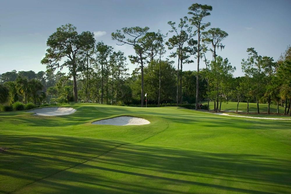 Saddlebrook Resort photo 39