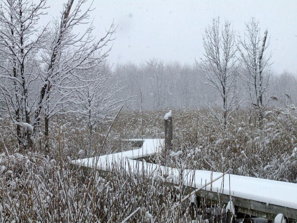 Maumee Bay Lodge and Conference Center photo 39