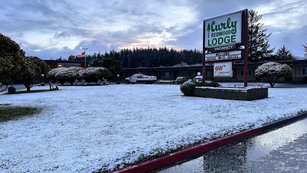Curly Redwood Lodge photo 51