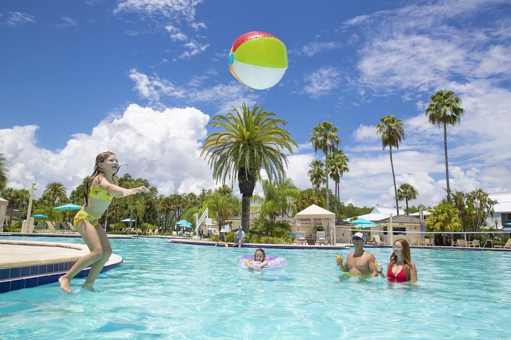 Saddlebrook Resort photo 84