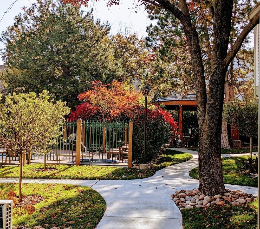 Annabell Gardens photo 41