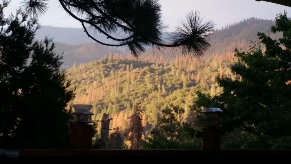 Pine Rose Inn photo 17