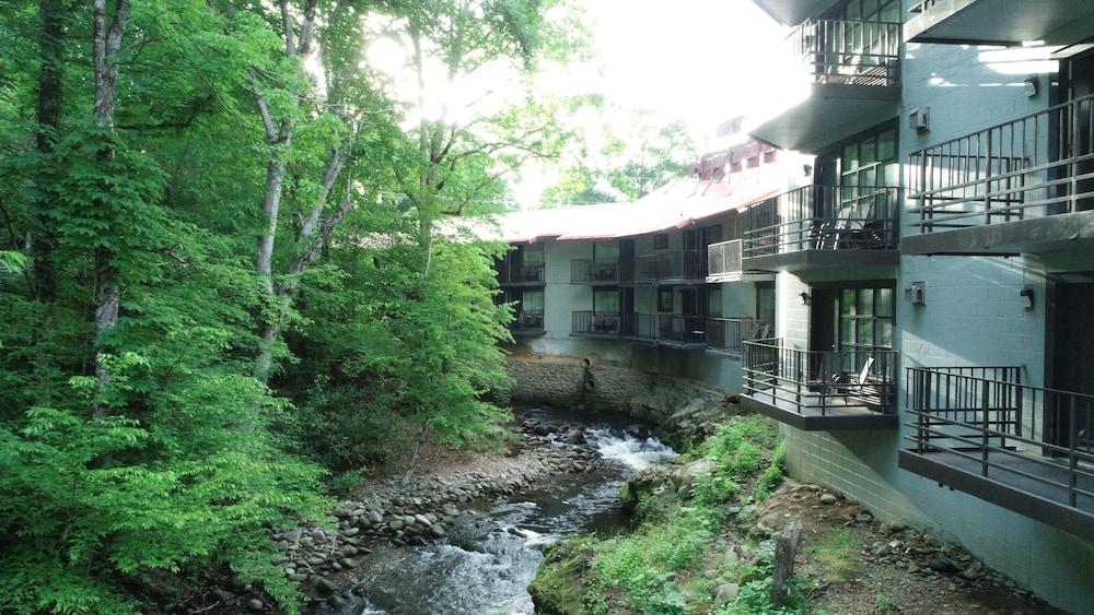 Bear Creek Inn photo 34