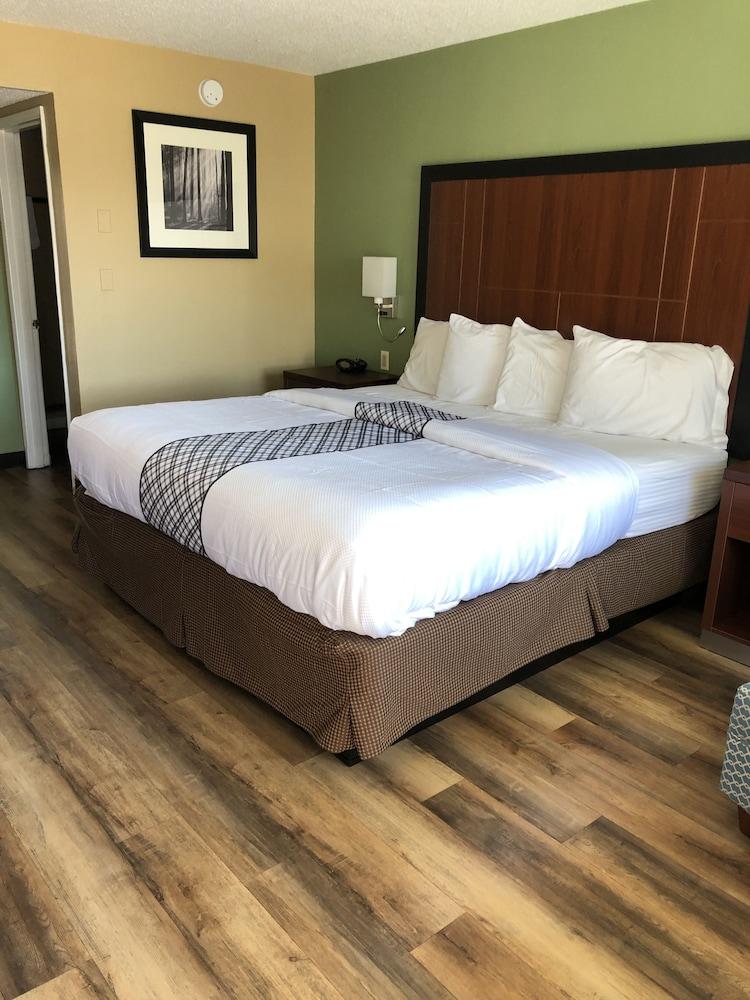 Knight's Inn Motel photo 14