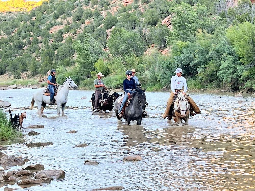 Teepee Lodge with Equus & Firearms/ranch photo 58