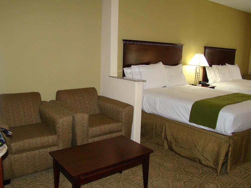 Holiday Inn Express Hotel & Suites Brownfield by IHG photo 4