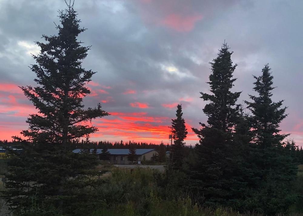 Denali Park Hotel photo 34