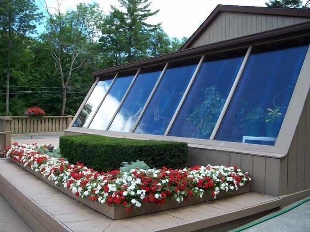 Tall Pines Motel photo 47