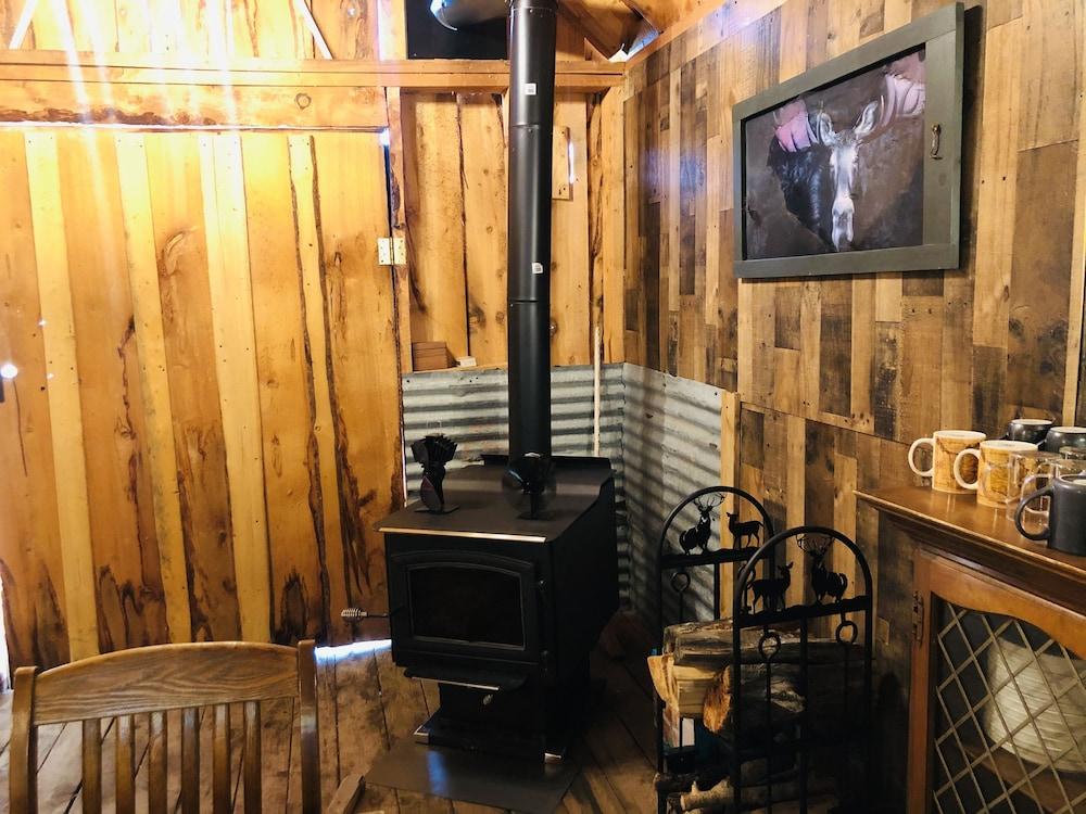 Wrangell Mountain Lodge photo 88