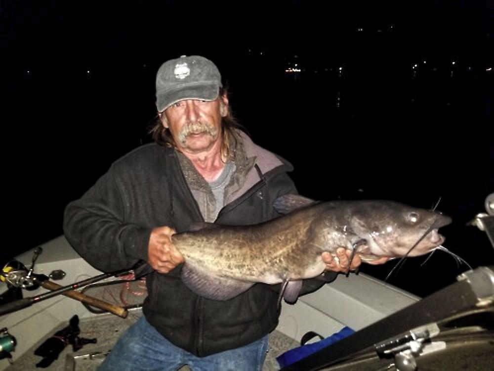 OMEO Clearlake Oaks photo 48