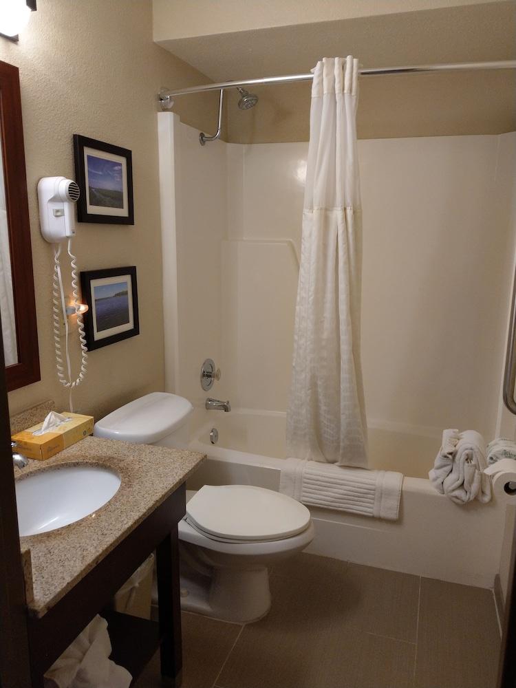 Comfort Inn & Suites Rochelle - DeKalb photo 12
