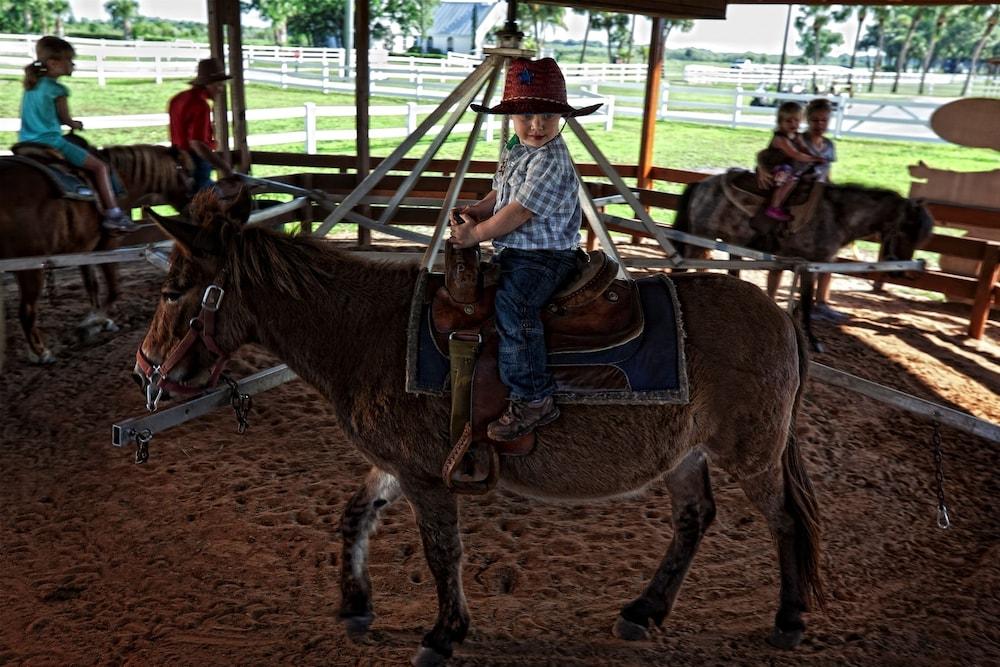 Westgate River Ranch Resort & Rodeo photo 78
