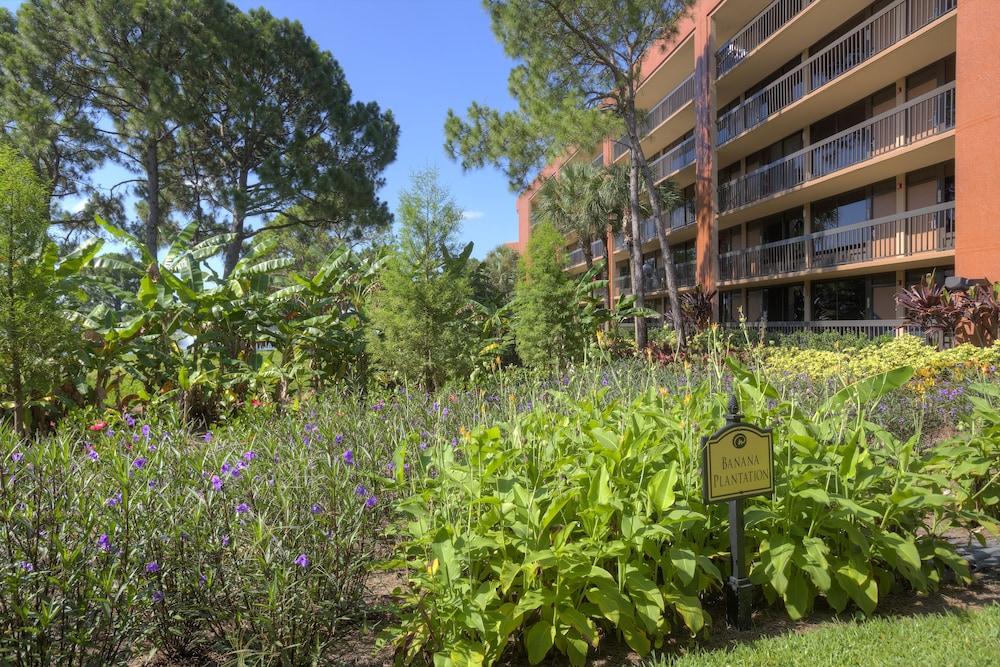 Rosen Inn Lake Buena Vista photo 65