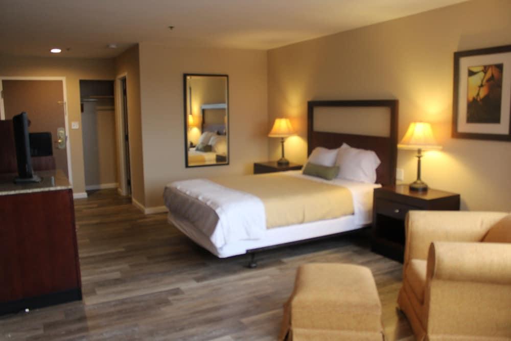 APM Inn and Suites photo 7