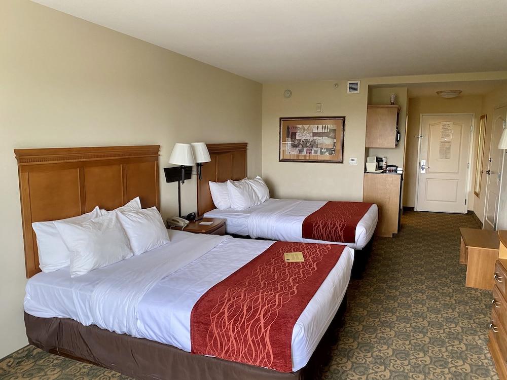 Comfort Inn & Suites Tifton photo 4