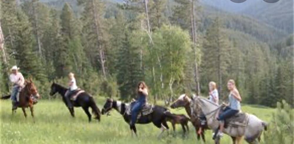 Whitetail Creek Resort photo 13