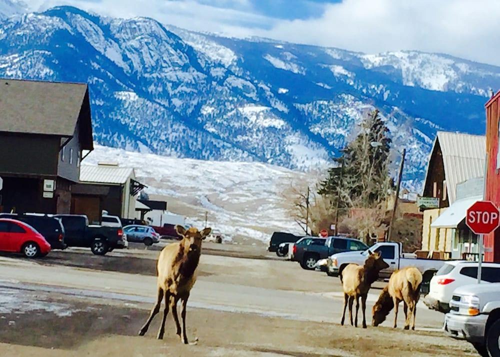 Park Hotel Yellowstone photo 69