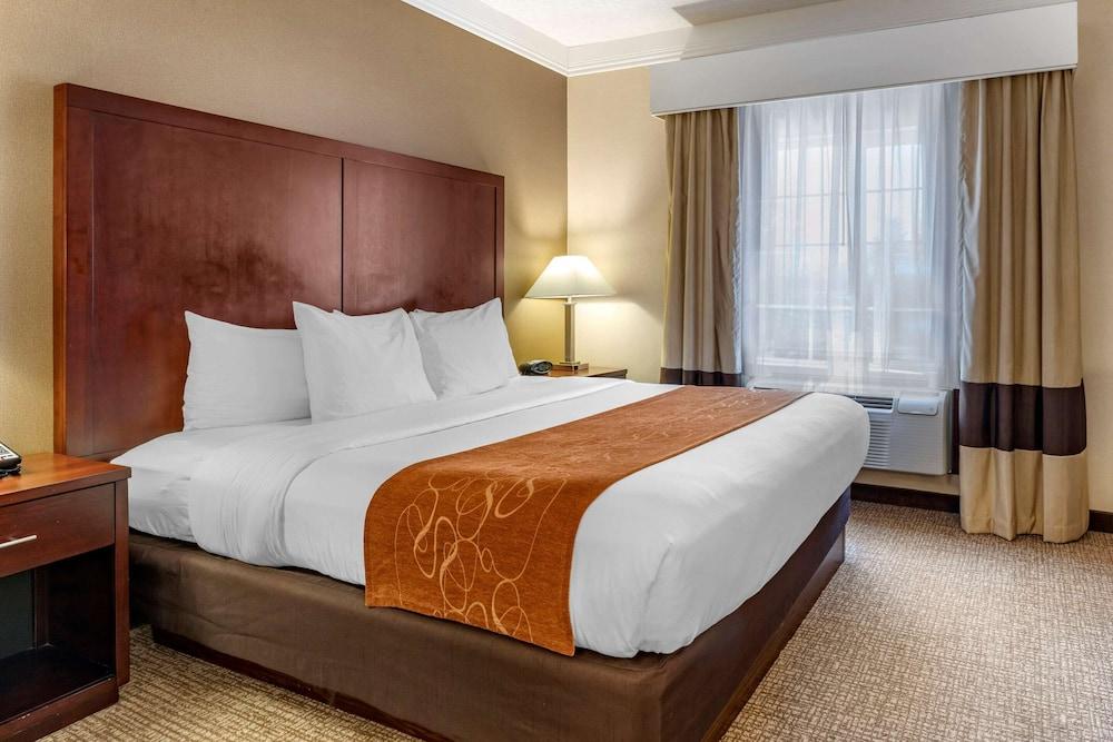 Comfort Suites Linn County photo 3