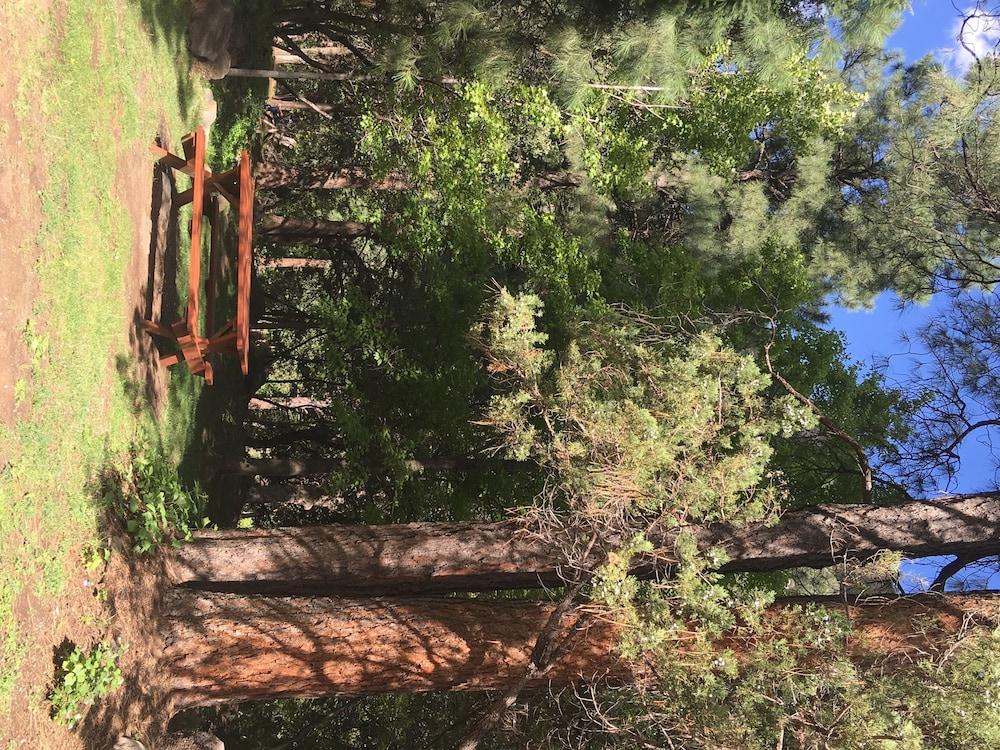 Junipine Resort photo 3