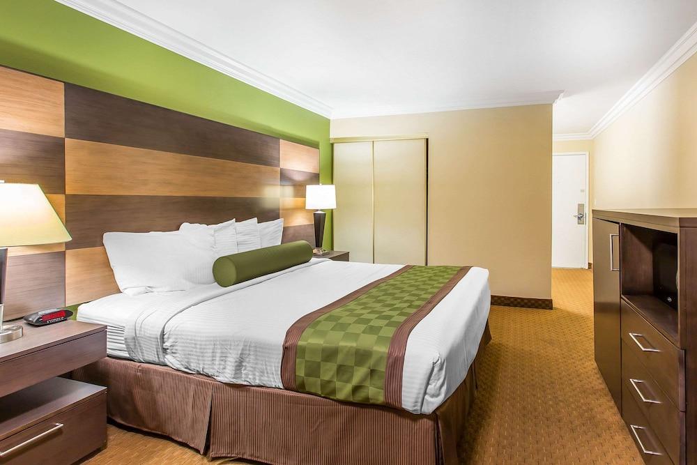 Rodeway Inn & Suites Canyon Lake-Menifee West photo 10