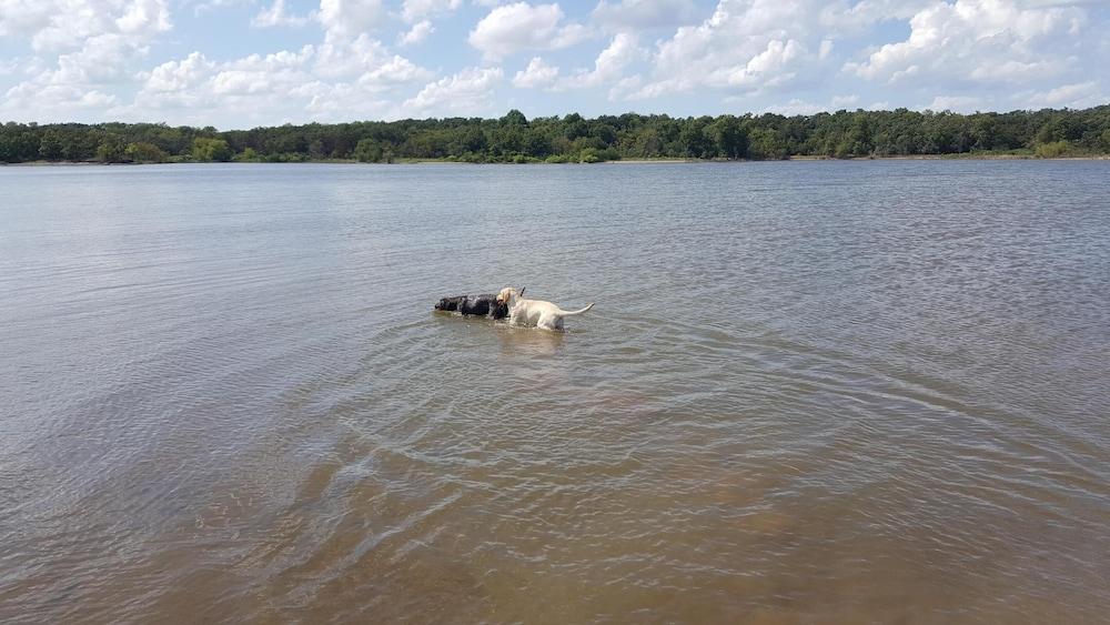 Lake Eufaula Inn photo 7