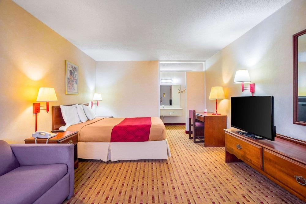 Econo Lodge Cave City photo 5