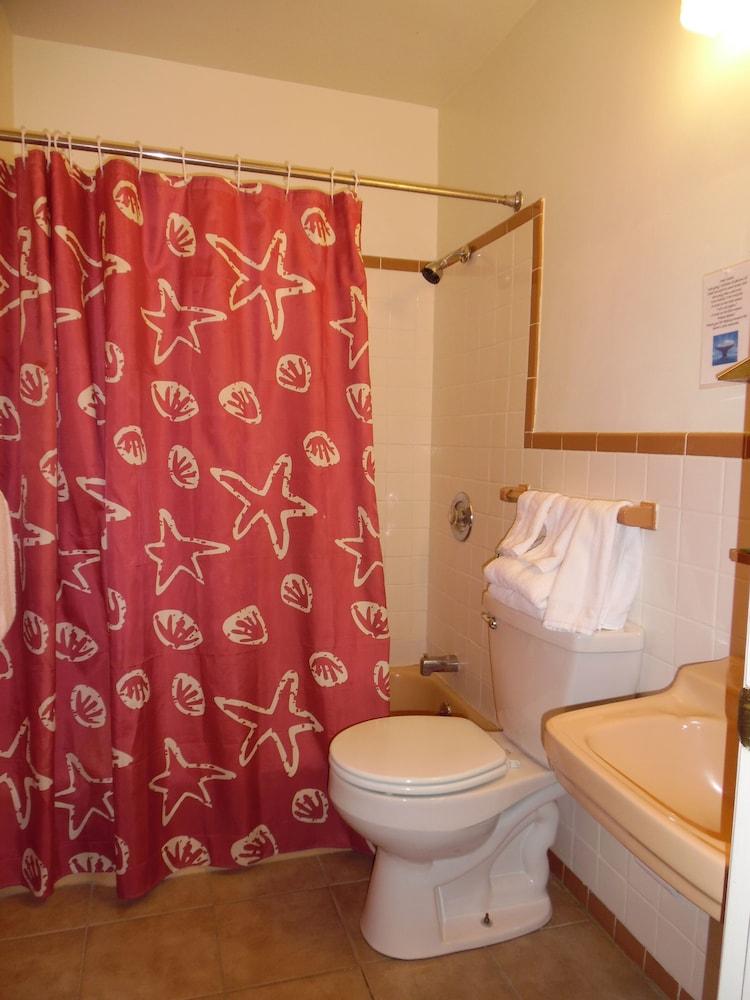 Wachapreague Inn photo 73
