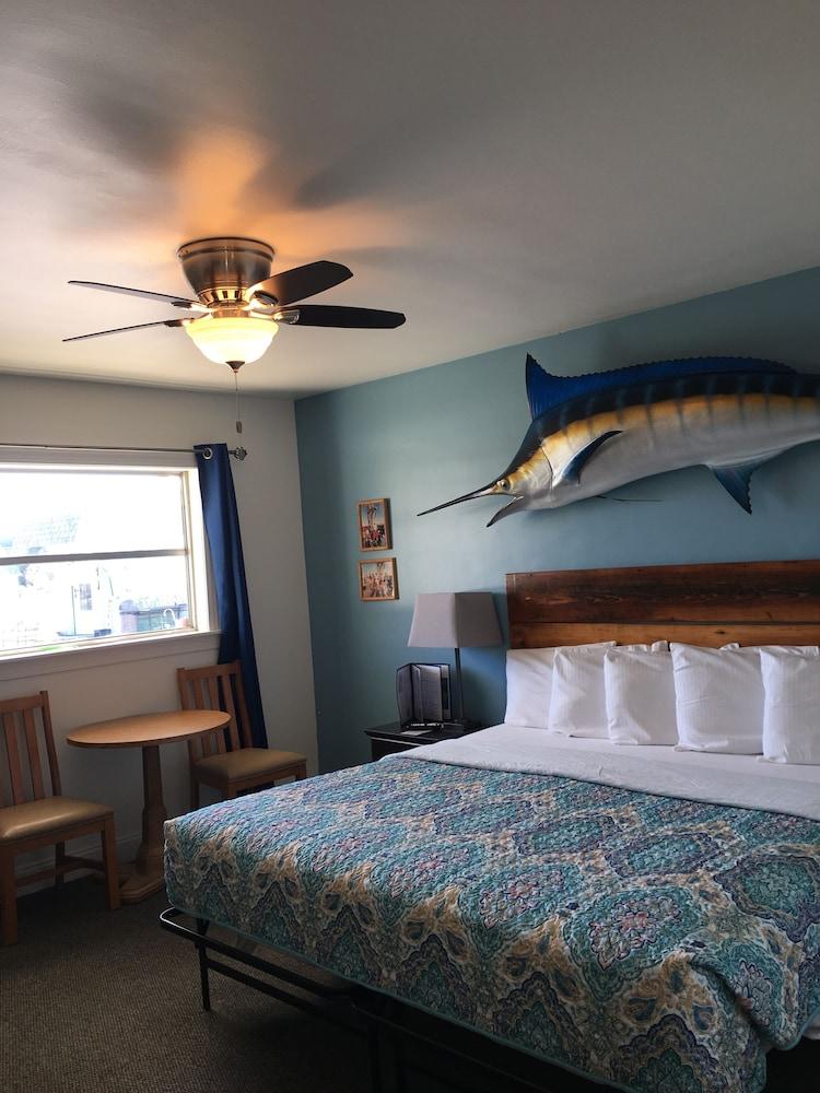 Wachapreague Inn photo 58