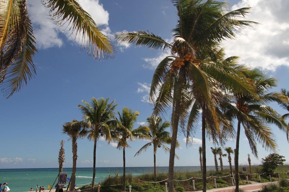 Tropical Suites Inc. photo 23