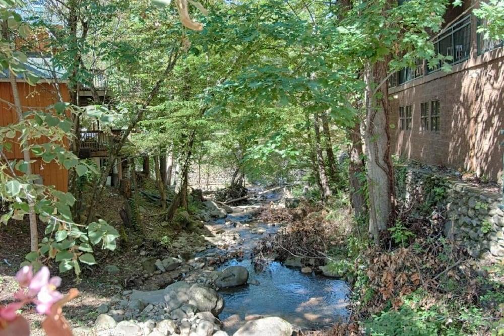 Old Creek Lodge photo 38