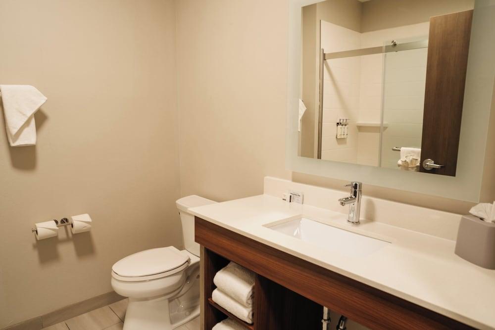 Holiday Inn Express & Suites McCalla - Birmingham West by IHG photo 32